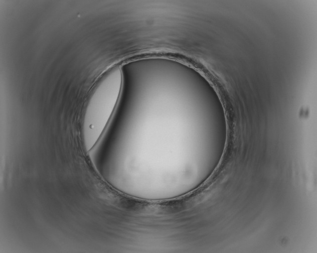 X0000091501265200708161226