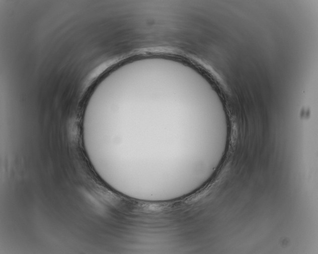 X0000091501266200708161226
