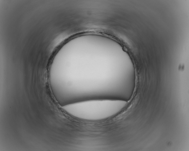 X0000091501267200708161226