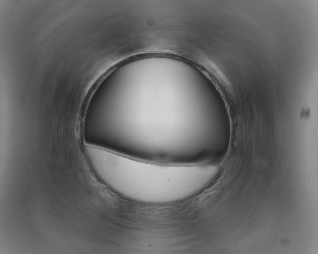 X0000091501268200708161226