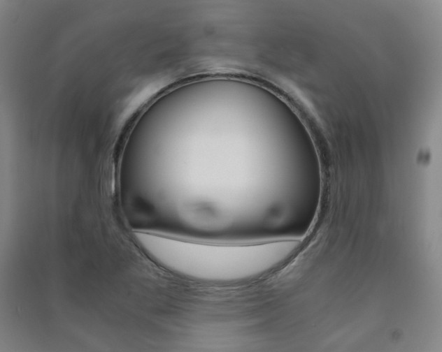 X0000091501269200708161226