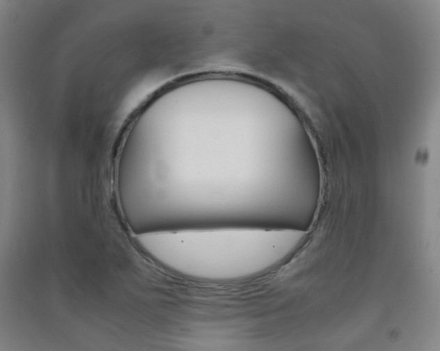 X0000091501271200708161226