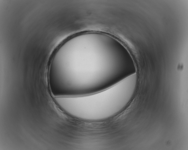 X0000091501272200708161226