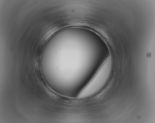 X0000091501273200708161226