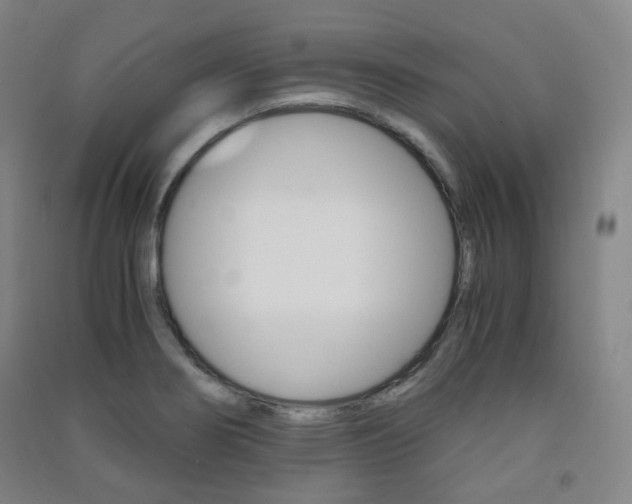 X0000091501274200708161226