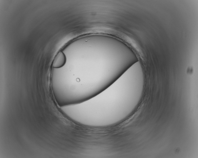 X0000091501275200708161226