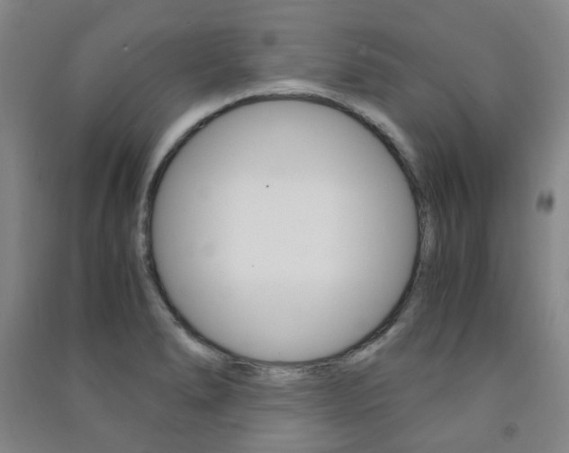 X0000091501278200708161226