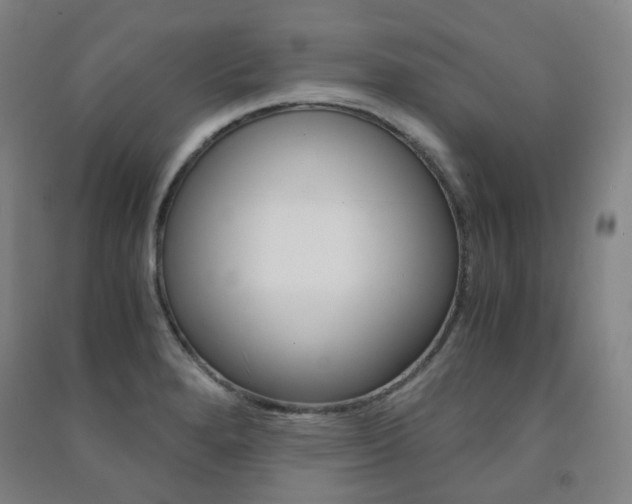 X0000091501280200708161226
