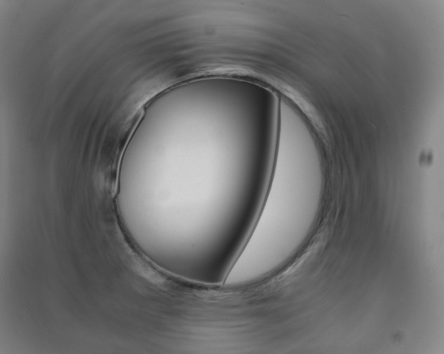X0000091501281200708161226