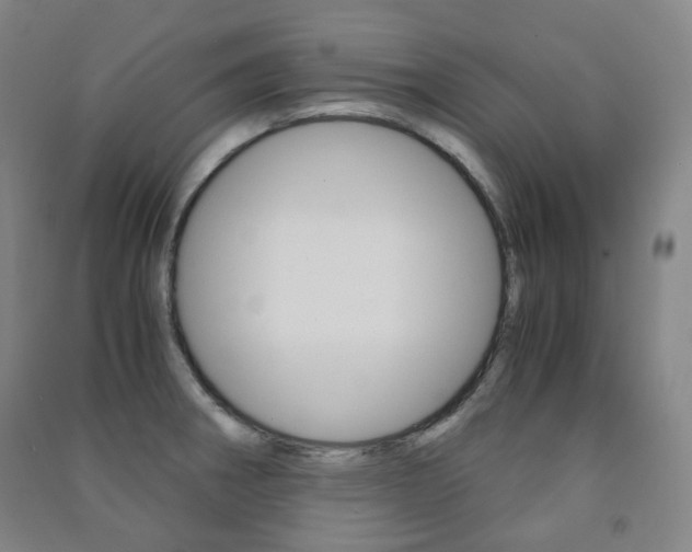 X0000091501282200708161226