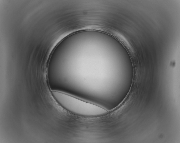 X0000091501284200708161226