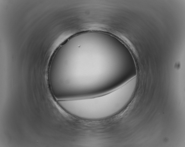 X0000091501285200708161226