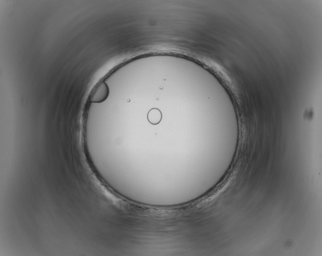 X0000091501286200708161226