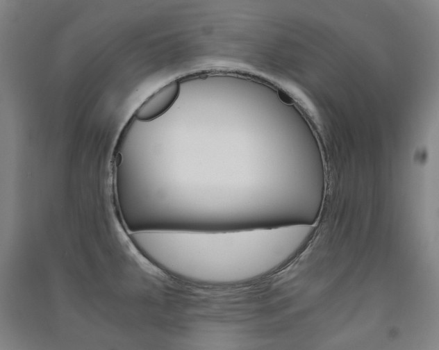 X0000091501287200708161226