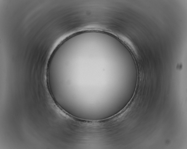 X0000091501288200708161226