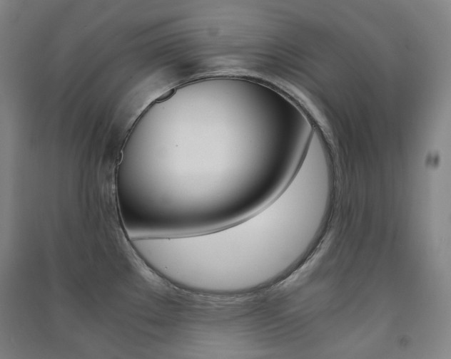 X0000091501289200708161226
