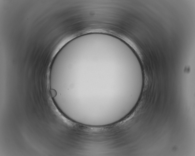 X0000091501290200708161226