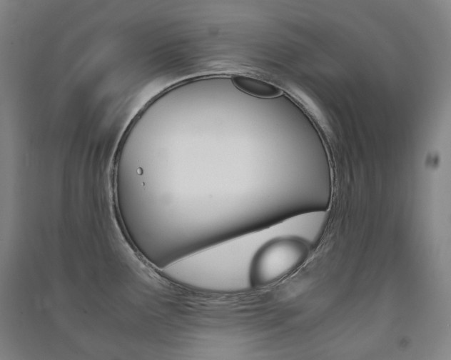 X0000091501291200708161226