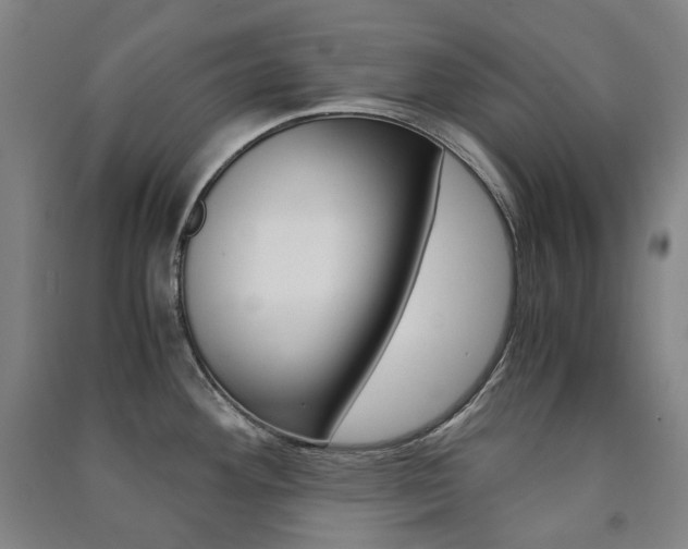 X0000091501292200708161226