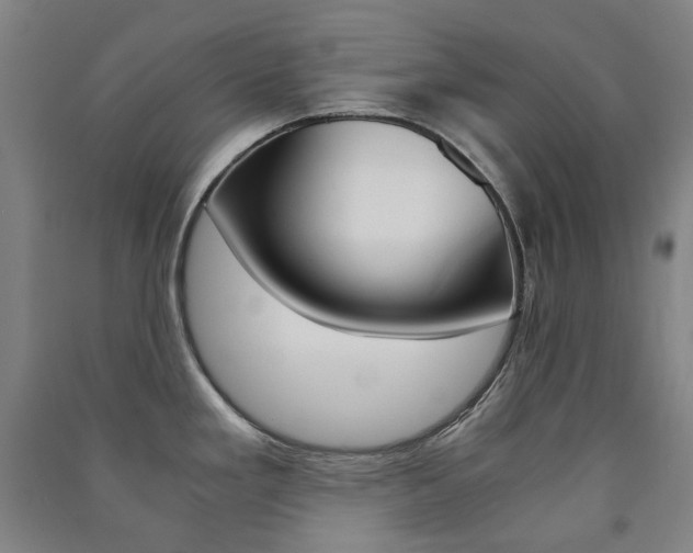 X0000091501293200708161226