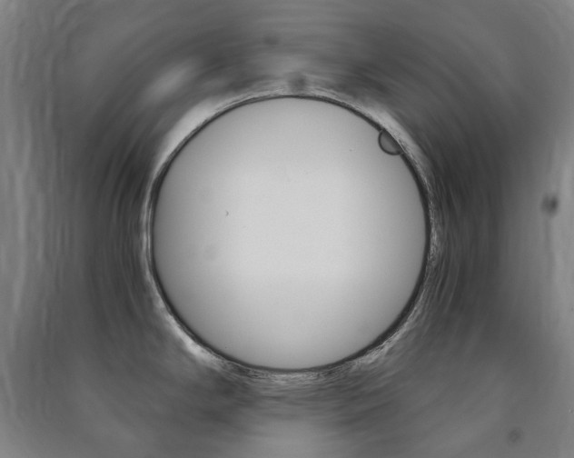 X0000091501294200708161226