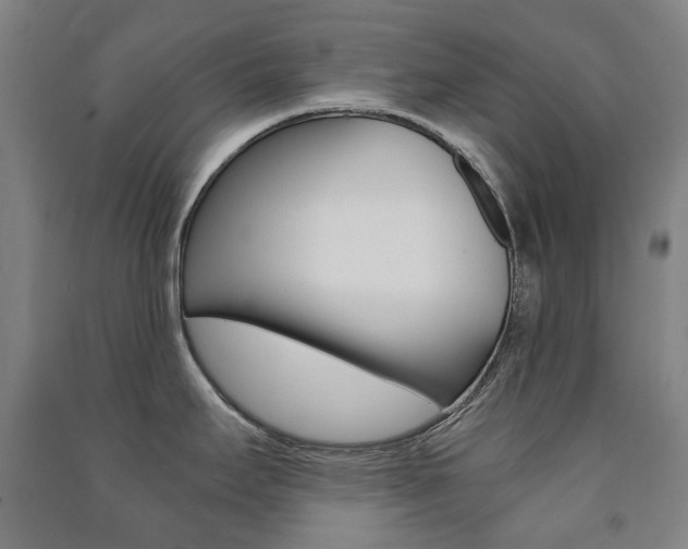 X0000091501295200708161226