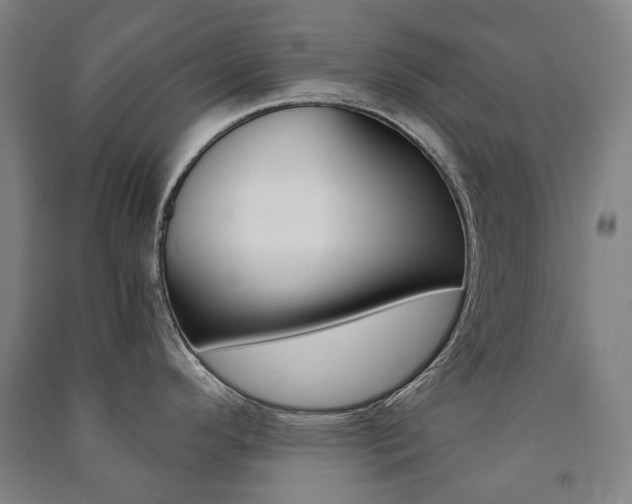 X0000091501296200708161226