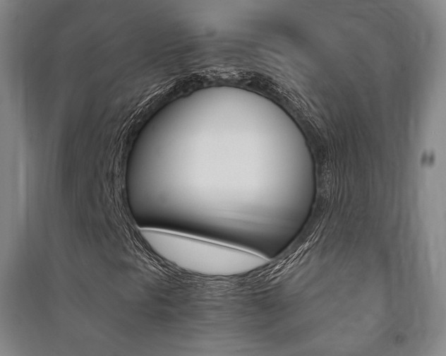 X0000091501297200708161225