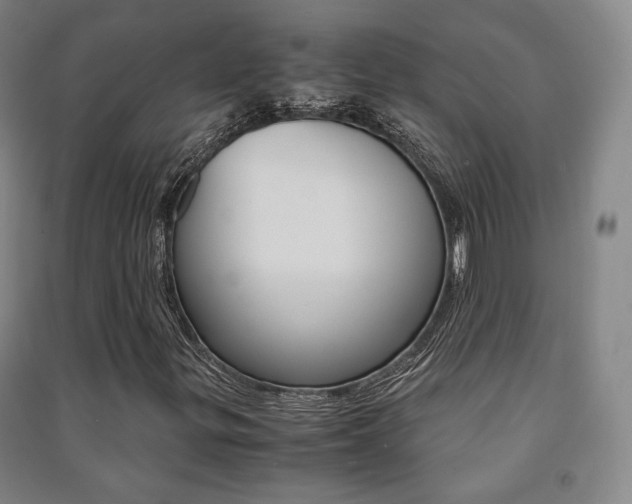 X0000091501299200708161225
