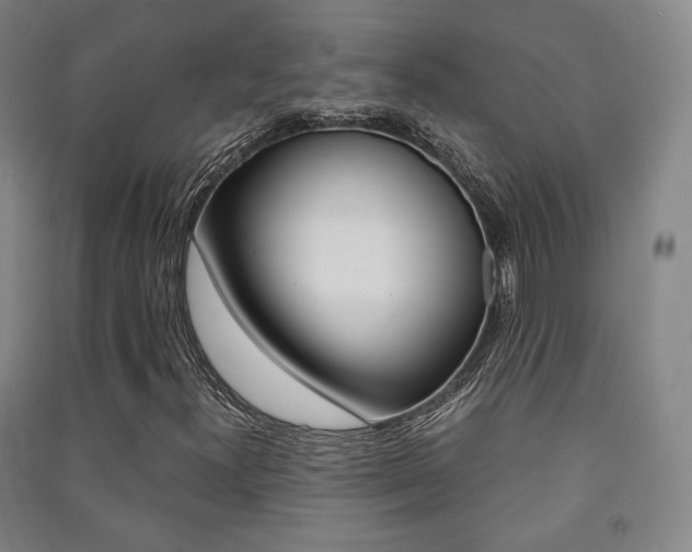 X0000091501300200708161226