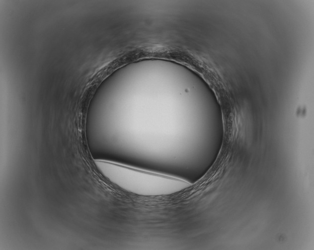 X0000091501301200708161226