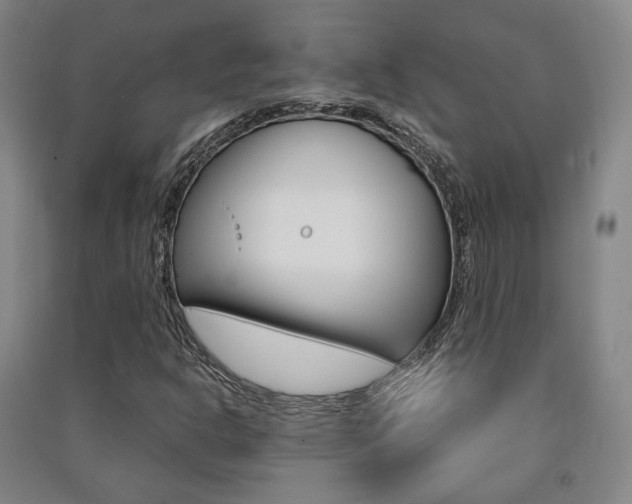 X0000091501302200708161226