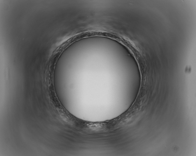 X0000091501303200708161226