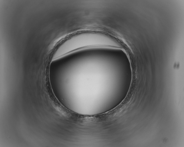 X0000091501304200708161226