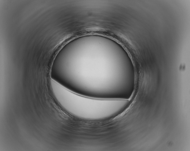 X0000091501305200708161226