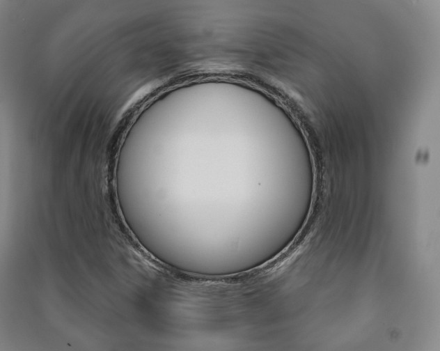 X0000091501306200708161226