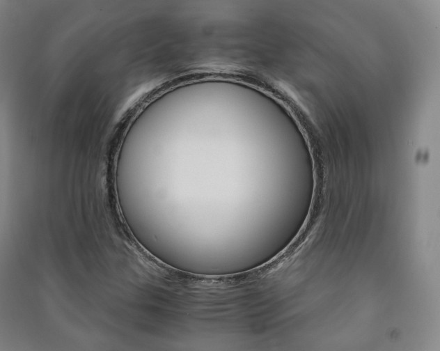X0000091501307200708161226
