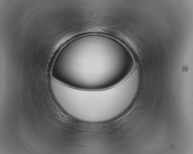 X0000091501308200708161226