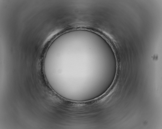 X0000091501309200708161226