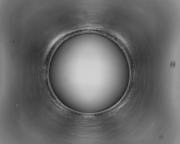 X0000091501310200708161226