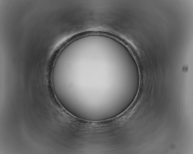 X0000091501311200708161226