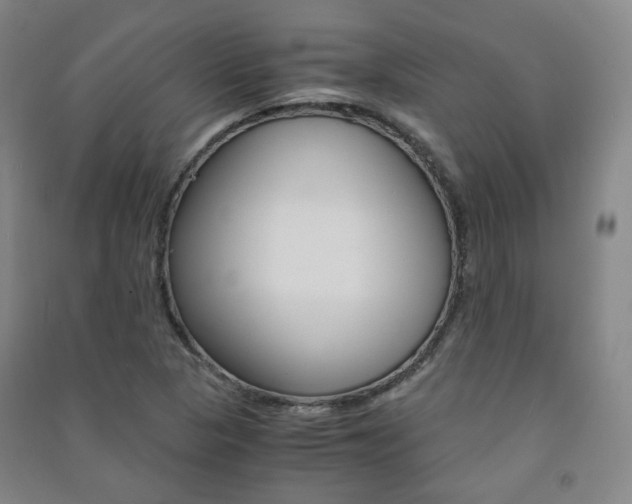 X0000091501313200708161226