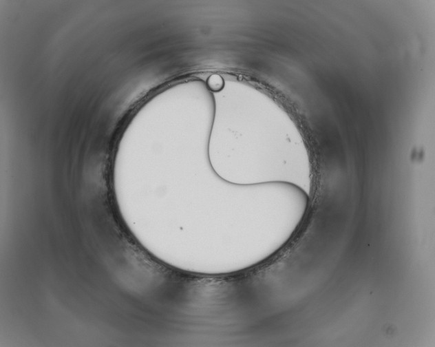 X0000091501314200708161226