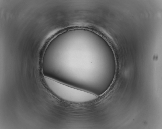 X0000091501315200708161226