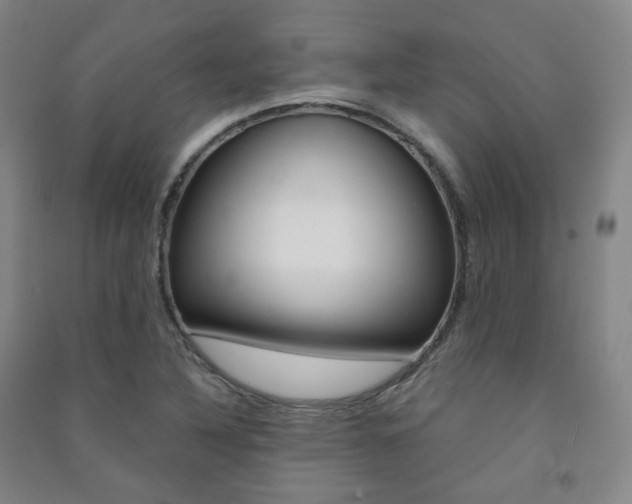 X0000091501316200708161226