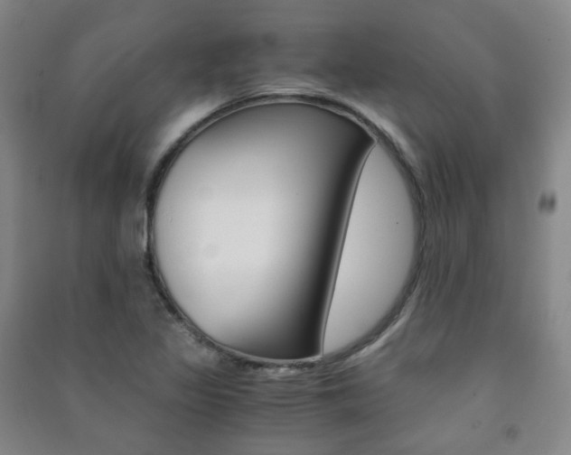 X0000091501317200708161226