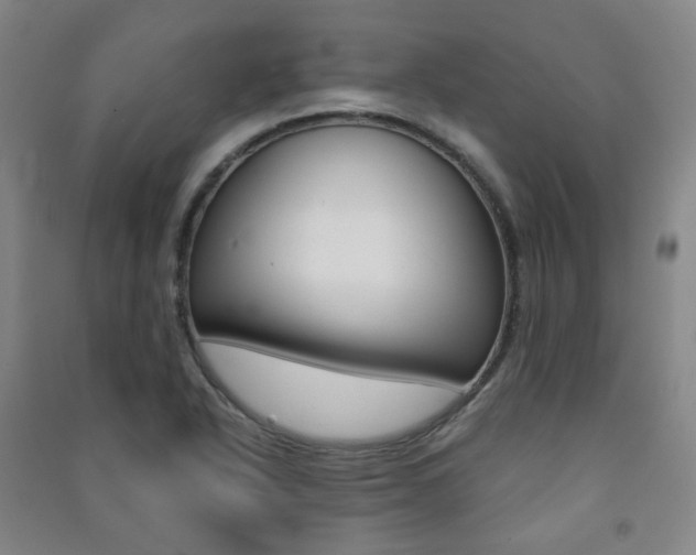 X0000091501318200708161226