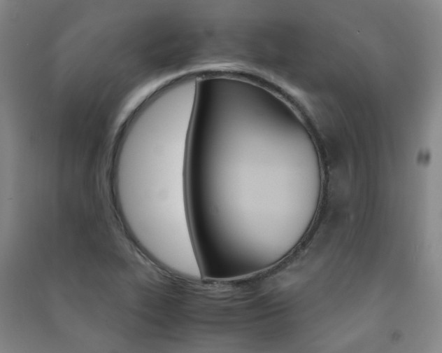 X0000091501319200708161226