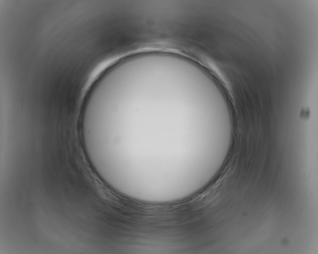 X0000091501320200708161226