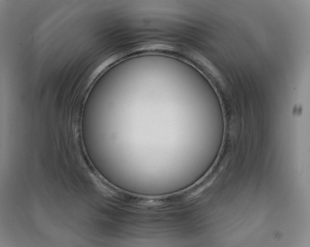 X0000091501321200708161226